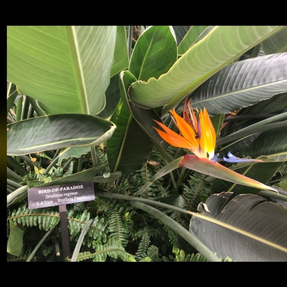 Meet your Posher, Carolyn